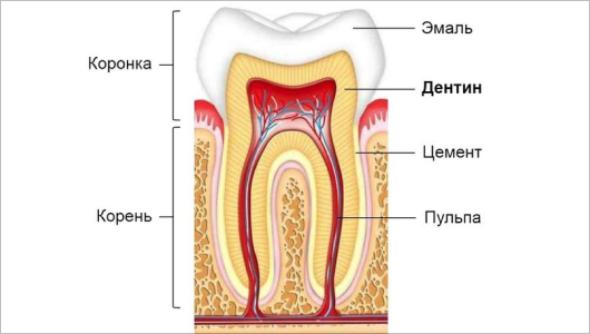 Почему болит зуб